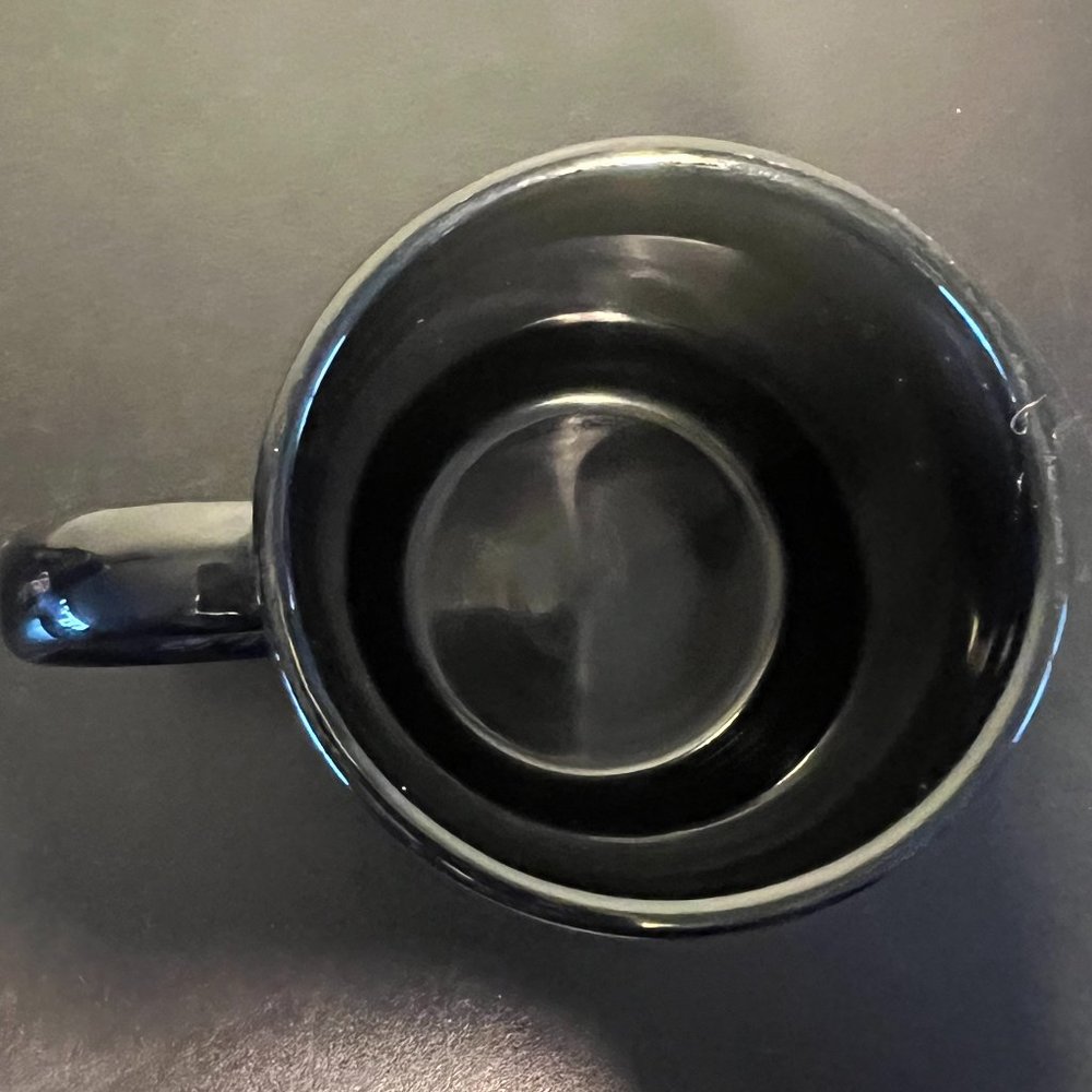 Minnesota Souvenir Ceramic Coffee Cup Mug Scenic Lake Ducks Black Blue - Picture 6 of 7